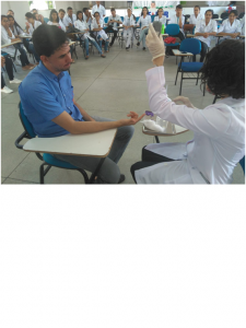 Sem título3